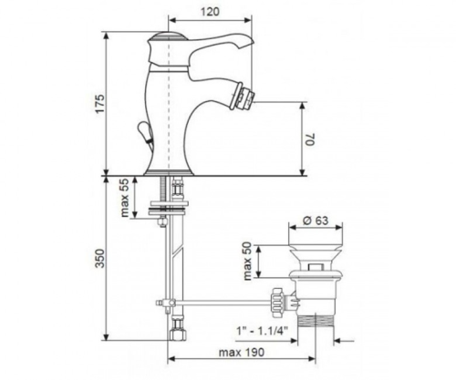 BIO6003_1